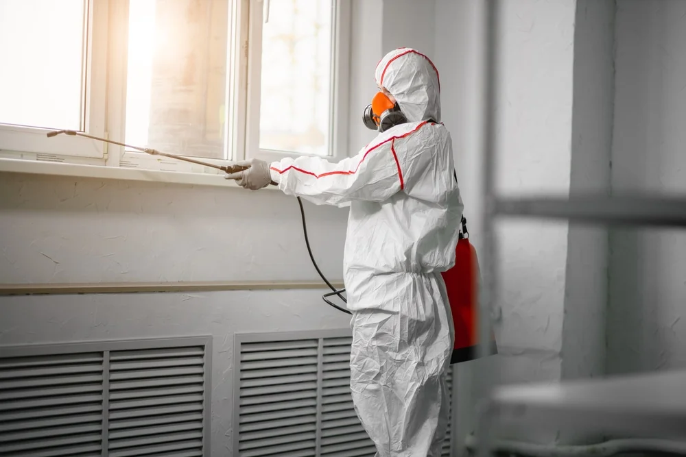 Professional mold remediation services in Honey Grove, TX